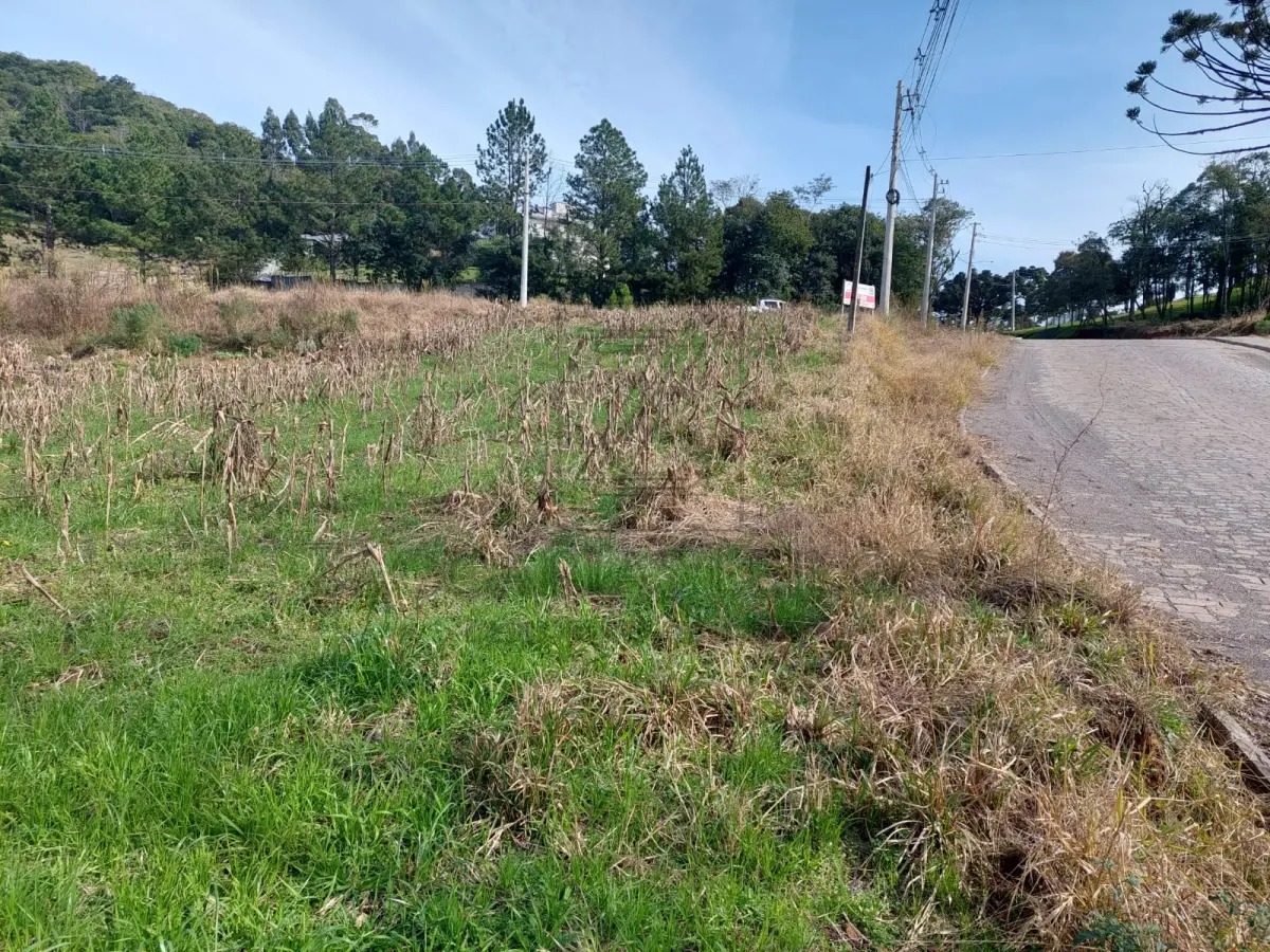 LOTE 001 - MÓVEL: GLEBA DE TERRAS URBANAS, de formato irregular, localizada no quarteirão  formado pelas Ruas Professor Luiz Duarte, Pinheiro Machado, Duque de Caxias, Santos Dumont,  Castro Alves e Luiz Marafon, terras urbanas e terras rurais, na cidade de Nova Bassano, com área  de 1.913,44m^, sem benfeitorias, medindo 58,33m de frente, ao Nor-Nordeste, por uma Linha irregular,  à Rua Professor Luiz Duarte, lado par, por 30,13m de extensão da frente ao fundo, por um lado, ao Lés-Sudeste, onde se divide com terras urbanas de Dorcelino Antonio Anzolin e outros, donde dista, pelo  alinhamento dos números pares da Rua Professor Luiz Duarte, 1.128,31m da esquina da Rua Pinheiro  Machado, pelo outro lado, ao Oeste, mede 51,52m, confrontando com terras do lote rural n° 37 “A”, da  Linha Benjamin Constant, de Dorcelino Antonio Anzolin e outros, no fundo, ao Sul, mede 46,16m, onde  se divide cora terras urbanas de Dorcelino Antonio Anzolin e outros. Matriculado no Serviço de Registro  de Imóveis de Nova Bassano sob n°. 1959.