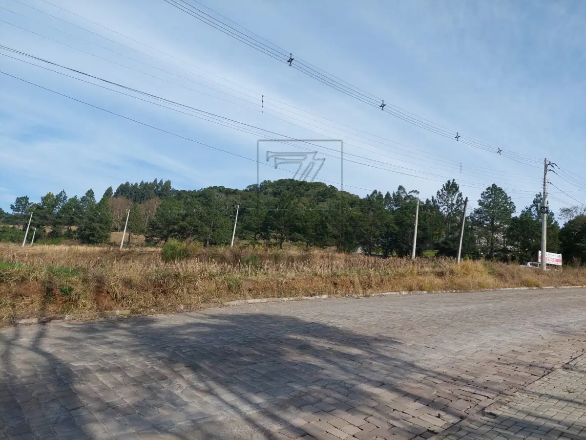 LOTE 001 - MÓVEL: GLEBA DE TERRAS URBANAS, de formato irregular, localizada no quarteirão  formado pelas Ruas Professor Luiz Duarte, Pinheiro Machado, Duque de Caxias, Santos Dumont,  Castro Alves e Luiz Marafon, terras urbanas e terras rurais, na cidade de Nova Bassano, com área  de 1.913,44m^, sem benfeitorias, medindo 58,33m de frente, ao Nor-Nordeste, por uma Linha irregular,  à Rua Professor Luiz Duarte, lado par, por 30,13m de extensão da frente ao fundo, por um lado, ao Lés-Sudeste, onde se divide com terras urbanas de Dorcelino Antonio Anzolin e outros, donde dista, pelo  alinhamento dos números pares da Rua Professor Luiz Duarte, 1.128,31m da esquina da Rua Pinheiro  Machado, pelo outro lado, ao Oeste, mede 51,52m, confrontando com terras do lote rural n° 37 “A”, da  Linha Benjamin Constant, de Dorcelino Antonio Anzolin e outros, no fundo, ao Sul, mede 46,16m, onde  se divide cora terras urbanas de Dorcelino Antonio Anzolin e outros. Matriculado no Serviço de Registro  de Imóveis de Nova Bassano sob n°. 1959.