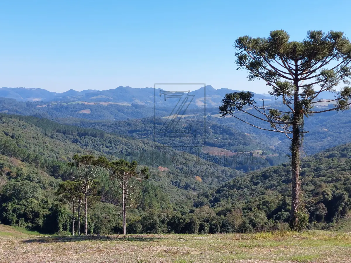 LOTE 003