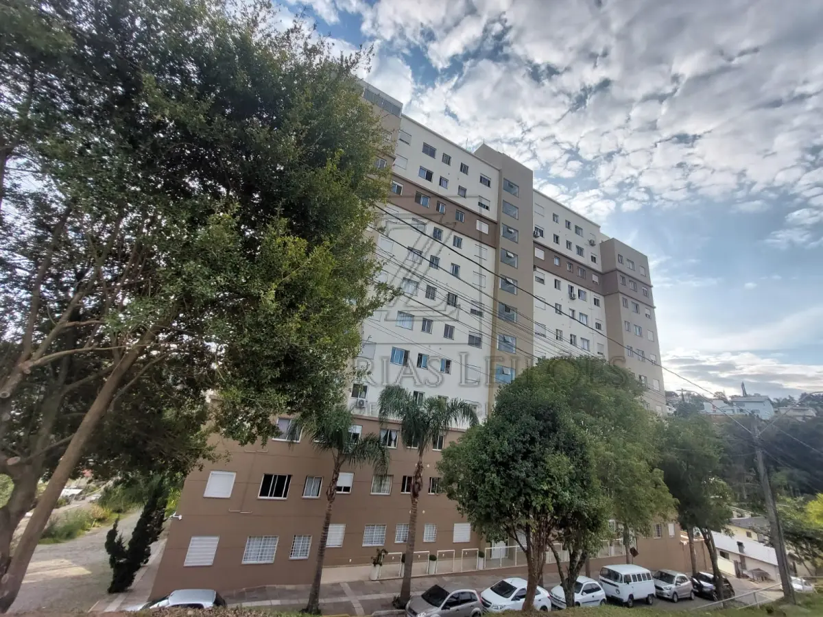 LOTE 003
