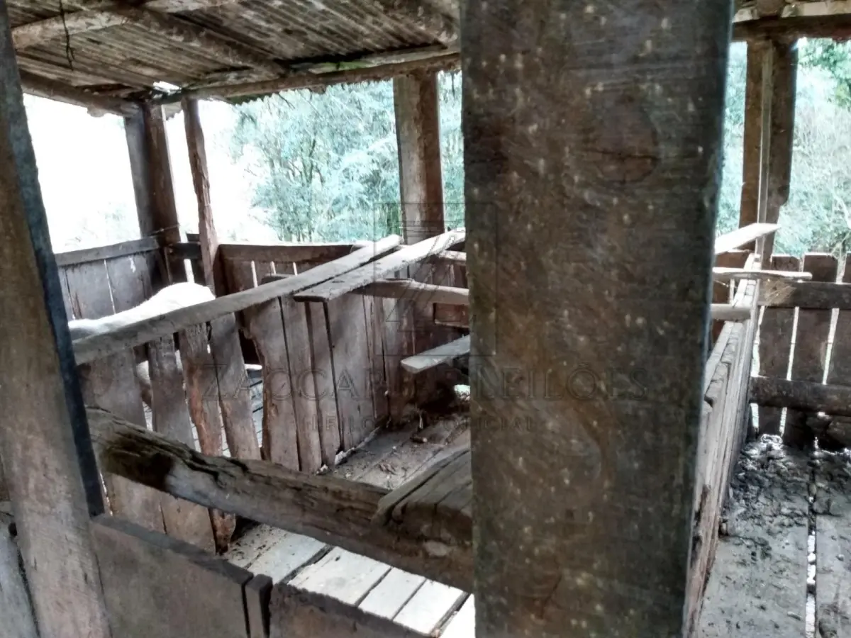 LOTE 004 - UMA AREA DE TERRAS DE CULTURA, localizada em São Jorge-RS, com a área de 80.058,00m² de forma  irregular, confrontando: ao NORTE, por linha seca, com terras de II Abraão; ao SUL, por linha seca, com  terras de Ermindo Pelissarí; ao LESTE, pela estrada municipal que liga os municípios de São Jorge a  Guabijú, com terras de Juarte Fracasso; e ao OESTE, com terras de Ivan Dall Agnol. P. Benfeitorias: Uma CASA (MISTA) Metragem da Casa mista medindo aproximadamente 150,00m²; Um Chiqueiro em construção mista com 52,00m²; Um chiqueiro antigo de madeira com 45,00m²; Mangueira em madeira com 80,00m²; Um Galpão em madeira com 350,00m²; Um chiqueiro misto com 540,00m², 26 baias, capacidade 400 suínos; Silo para armazenagem de ração com capacidade para 15 toneladas; Depósito para armazenamento de fezes de suínos e Poço artesiano, encamisado, com 96 metros de profundidade.