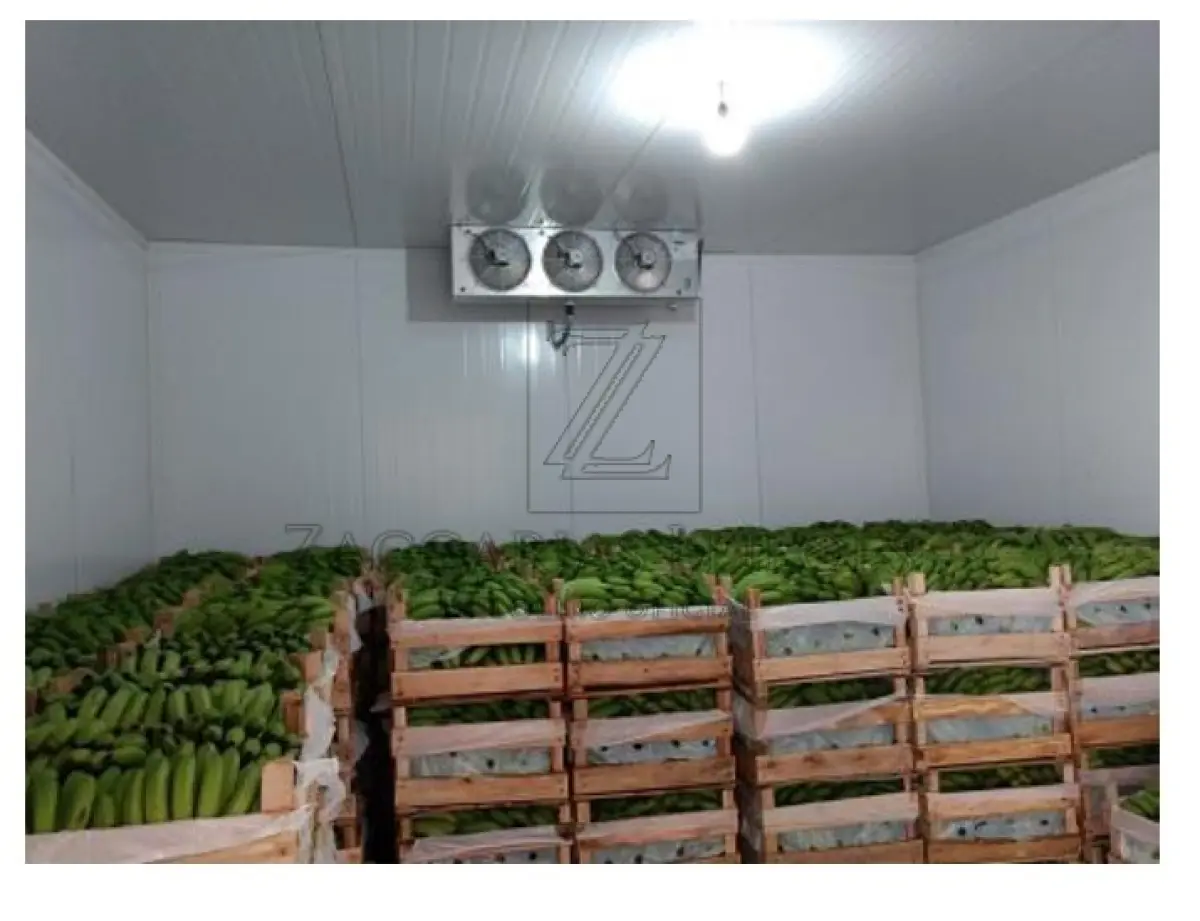 LOTE 001 - Uma Câmara fria para  resfriamento, medindo 5m x 5m, em bom estado de conservação e funcionamento.