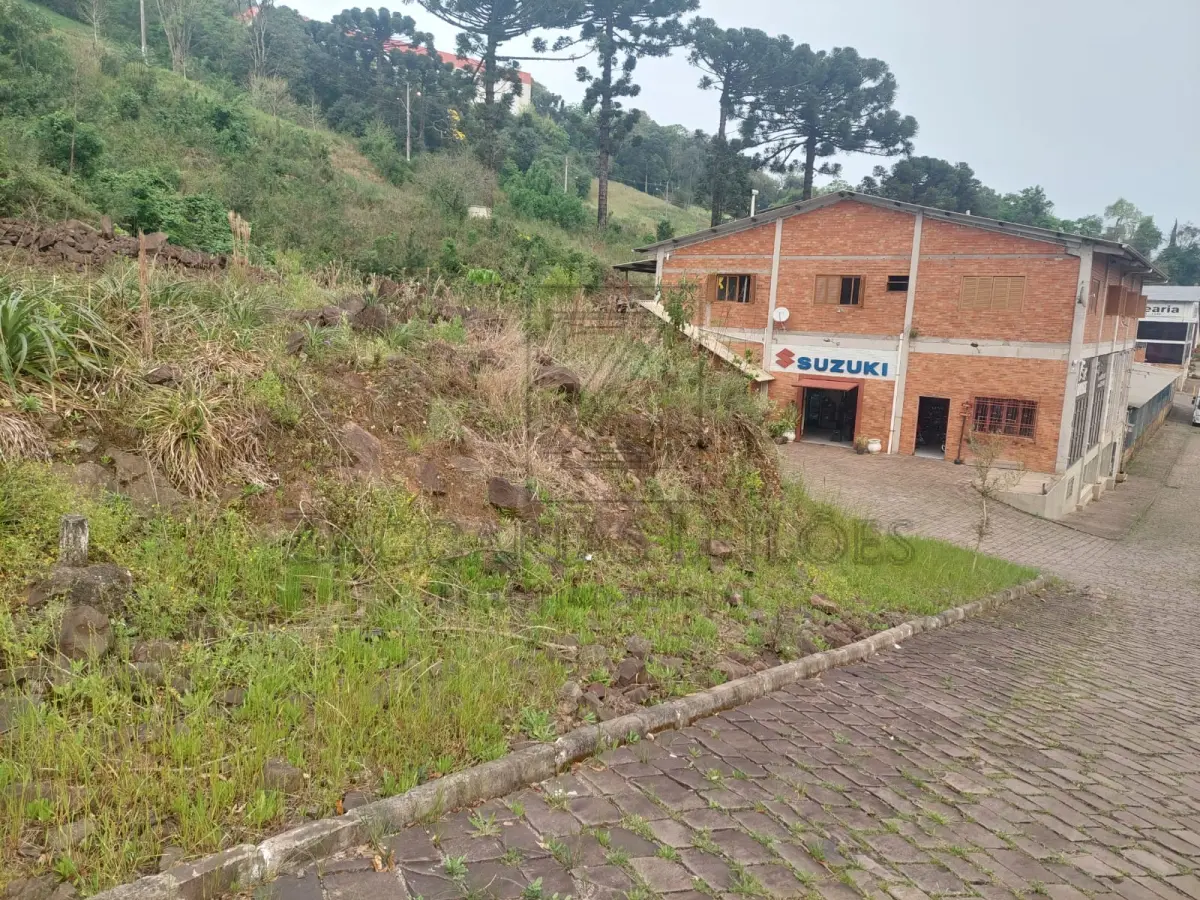 LOTE 003 - IMÓVEL: Terreno Urbano, Localizado no quarteirão formado pela faixa de domínio da RS/324,  antiga Rua Itália, Ruas da Emancipação e Imigrantes e terras urbanas, nesta cidade, com área de  680,00m², sem benfeitorias, medindo 20,00m de frente, ao OÉS-SUDOESTE, à faixa de domínio da  RS/324, atingida pela Rua Itália, lado par, por 34,00m de extensão da frente ao fundo, por ambos os lados,  o qual entesta no fundo, ao LÉS-NORDESTE, onde tem a mesma medida da frente, confrontando com  terras urbanas de Ivo José Dagnese outro, dividindo-se por uma lado, ao NOR- NOROESTE, com terreno  de propriedade  de Ivo Jose Dagnese, donde dista, pelo alinhamento dos números pares da Rua Itália,  207,34m da esquina da Rua Emancipação; e, pelo outro lado, ao SU-SUDESTE, confrontando com terreno  de propriedade de Ivo José Dagnese. MATRÍCULA nº 2176 do livro 2 do Registeo de Imóveis de Nova  Bassano/RS.