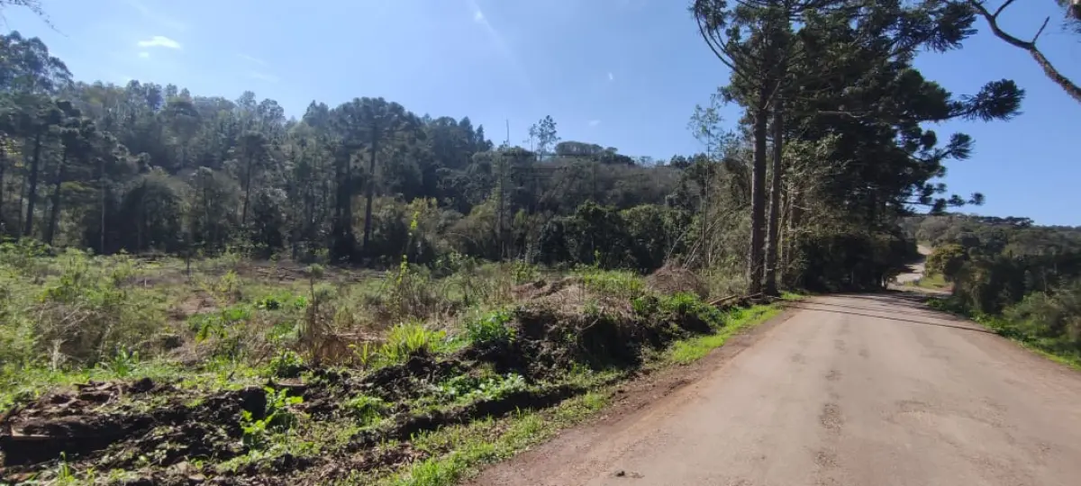 LOTE 001 - Uma GLEBA DE TERRAS, constituída de parte do lote número 64, da Quinta Secção, Segunda  Serie Oeste, neste município, com a área de 120,000,00m2, sem benfeitorias, confrontando: ao norte,  com terras da Linha Sexta Secção, Segunda Série Oeste; ao sul com remanescente do mesmo lote 64, de  propriedade de Odenir Luiz Rui, em parte pela Estrada da Linha Bento Gonçalves; ao leste, com  remanescente do mesmo lote; e ao oeste, com o lote número 66. MATRÍCULA Nº 16.352, do Registro de  Imóveis da Comarca de Nova Prata/RS.