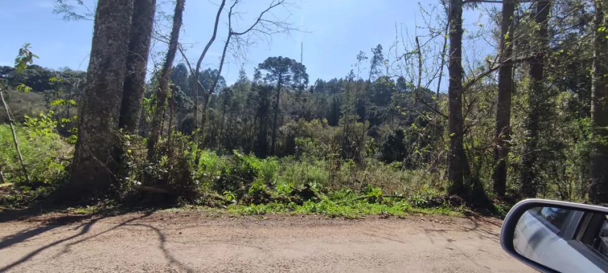 LOTE 001 - Uma GLEBA DE TERRAS, constituída de parte do lote número 64, da Quinta Secção, Segunda  Serie Oeste, neste município, com a área de 120,000,00m2, sem benfeitorias, confrontando: ao norte,  com terras da Linha Sexta Secção, Segunda Série Oeste; ao sul com remanescente do mesmo lote 64, de  propriedade de Odenir Luiz Rui, em parte pela Estrada da Linha Bento Gonçalves; ao leste, com  remanescente do mesmo lote; e ao oeste, com o lote número 66. MATRÍCULA Nº 16.352, do Registro de  Imóveis da Comarca de Nova Prata/RS.