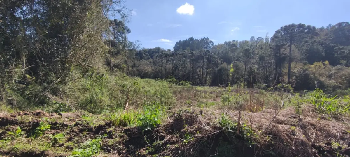 LOTE 001 - Uma GLEBA DE TERRAS, constituída de parte do lote número 64, da Quinta Secção, Segunda  Serie Oeste, neste município, com a área de 120,000,00m2, sem benfeitorias, confrontando: ao norte,  com terras da Linha Sexta Secção, Segunda Série Oeste; ao sul com remanescente do mesmo lote 64, de  propriedade de Odenir Luiz Rui, em parte pela Estrada da Linha Bento Gonçalves; ao leste, com  remanescente do mesmo lote; e ao oeste, com o lote número 66. MATRÍCULA Nº 16.352, do Registro de  Imóveis da Comarca de Nova Prata/RS.