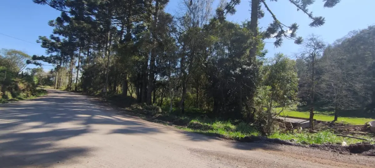 LOTE 001 - Uma GLEBA DE TERRAS, constituída de parte do lote número 64, da Quinta Secção, Segunda  Serie Oeste, neste município, com a área de 120,000,00m2, sem benfeitorias, confrontando: ao norte,  com terras da Linha Sexta Secção, Segunda Série Oeste; ao sul com remanescente do mesmo lote 64, de  propriedade de Odenir Luiz Rui, em parte pela Estrada da Linha Bento Gonçalves; ao leste, com  remanescente do mesmo lote; e ao oeste, com o lote número 66. MATRÍCULA Nº 16.352, do Registro de  Imóveis da Comarca de Nova Prata/RS.
