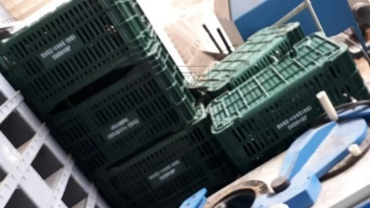 LOTE 010 - Equipamentos de plástico: 54 Palets de plástico, marca IPLAST; 38 caixotes de plástico, tipo feira, personalizados; 319 bandejas plásticas para salgadinho brancas PRS; 24 caixas de embalagens plásticas.