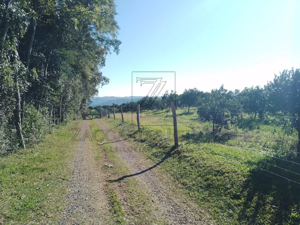 LOTE 002 - Imóvel: Fração ideal correspondentes a 25% da parte ideal de 33,56% do imóvel objeto da matrícula nº  1579, localizada dento do todo maior, ou seja, da PARTE do lote rural 14 da 6ª secção da Estrada Geral-  atual - linha Tomaz Flores, com a área de 203.715,63 com casa de moradia construída de madeira e  confinando na área maior ao norte: com lote 13; sul, com lote 15 da mesma linha; leste, com a Estrada  Geral Buarque de Macedo e ao oeste com lote 2"A". Tudo conforme Matrícula 1579 do R.I. da Comarca de  Veranópolis RS.