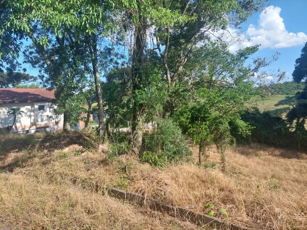 LOTE 002 - Lote nº 44 do Loteamento “MEDIANEIRA III”,  nesta cidade, com a denominação administrativa de lote nº 24 da quadra 03, zona 11, distrito 01, com  área de R$ 360,00m2 (trezentos e sessenta metros quadrados) de terras, que distam em seu lado oeste  12,00 metros da esquina formada pelas ruas Luiz Piccoli e Isidoro Guilherme Dall Agnol, no lado par  desta, no quarteirão formado por essas duas ruas, mais a rua São Paulo e terras do lote rural nº 63, e  que confrontam: ao norte, por 12,00 metros com a rua e Isidoro Guilherme Dall Agnol, ao sul, por 12,00  metros, com terras do lote rural nº 63, ao leste, por 30,00 metros, com o lote nº 36 e ao oeste, por 30,00  metros com o lote nº 12; sem benfeitorias. MATRÍCULA 12.422 DO LIVRO 2 DO OFÍCIO DE REGISTRO  DE IMÓVEIS DE VERANÓPOLIS/RS.