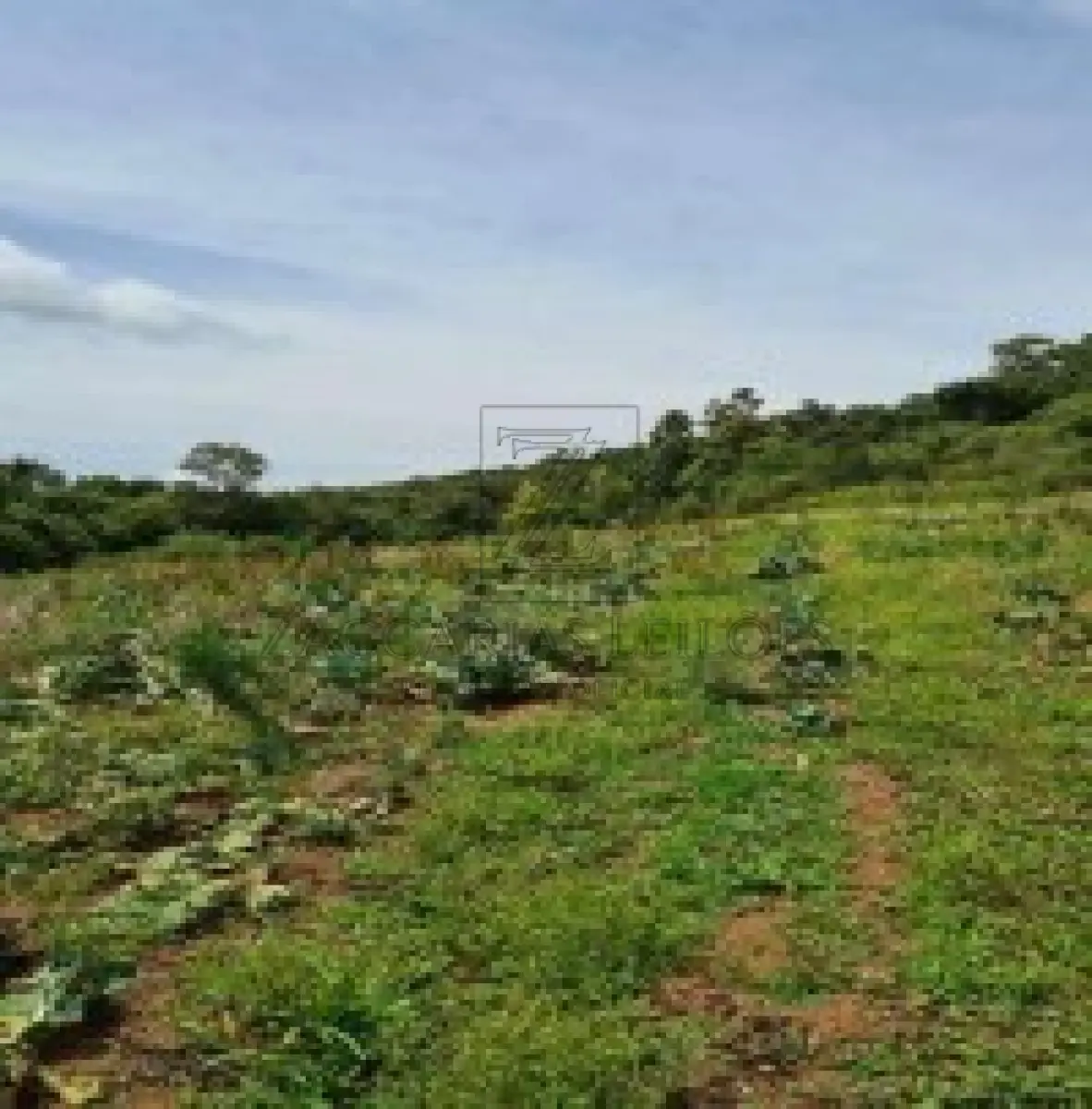 LOTE 001 - IMOVEL - UMA GLEBA DE TERRAS, constituída de parte do lote rural nº 3, da  Linha Anita Garibaldi, neste Município, com a área de 157.300,00m², sem benfeitorias, confrontando  ao NORTE, por 97,00m, com o travessão de frente; ao SUL, por 187,00m, com parte do mesmo lote  03, de Genor Pasolini, ao LESTE, lado formado por três segmentos de reta: o primeiro, partindo da  extremidade leste da confrontação sul, deflete para o norte por 701,6993m, onde confronta com o lote  rural nº 01, da mesma Linha, de Névio Boccalon e outro, o segundo, a partir do primeiro, deflete para o  oeste, por 90,00m, ao fim dos quais deflete para o norte, por 268,889m, confrontando nestes dois  segmentos com parte do mesmo lote nº 03, de Nelvino Bocalon; e, ao OESTE, por 970,5883m,  confronta com parte do mesmo lote no 03, de Affonso Bocalon e de Nelvino Bocalon, conforme Av. 02 299 do R.I. de Nova Bassano RS.