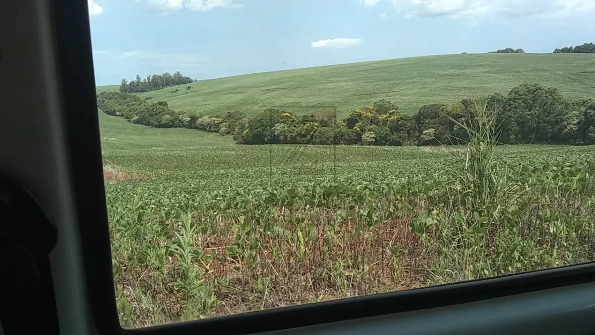 LOTE 001 - Uma fração de terras de cultura, com a área de oitenta mil metros  quadrados (80.000,00), sem benfeitorias, situada no lugar denominado São Roque, no 1º distrito deste  município, com as seguintes confrontações: ao Norte, com a estrada municipal; ao Sul, parte com terras  de Manoel Machado e parte com terras de Erich Sand; Leste com terras de Osmar Aldebrund; e, a Oeste,  com terras dos doadores. MATRÍCULA Nº 9.874 do R. I. DA Comarca de Ibirubá RS.