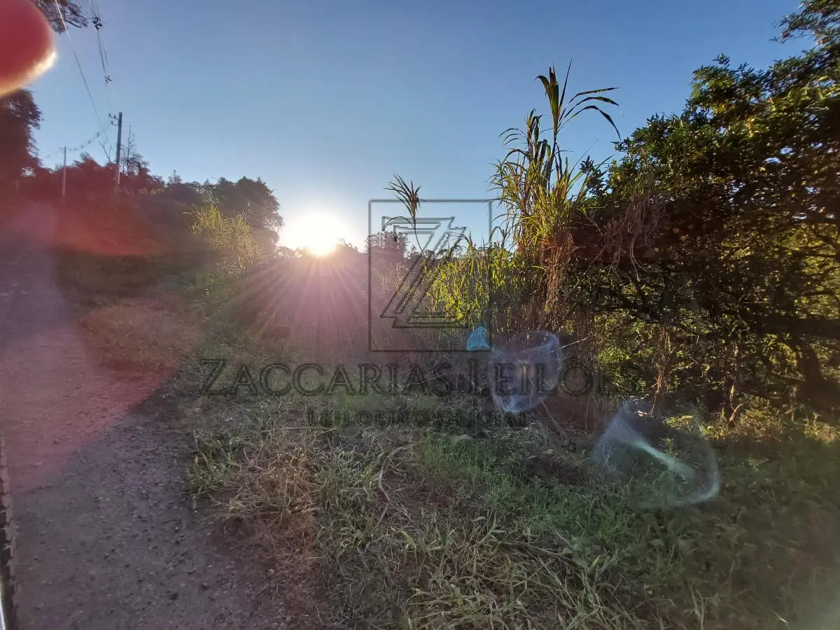 LOTE 001 - IMÓVEL: Parte do lote rural nº 159 da Linha Marquês do Herval, no distrito de Fagundes Varela,  neste município, com área de 276.000,00m² (duzentos e setenta  e seis mil metros quadrados) de terras  sem benfeitorias, que confrontam: ao norte, com o travessão de fundos; ao sul, com o Rio Carreiro; ao  leste, com terras do lote rural nº 157 da mesma Linha Marquês do Herval e ainda com terras do mesmo  lote nº 159 de Angelo Rigo e sua mulher e ao oeste, com terras do lote nº 161 da mesma Linha Marques  do Herval. MATRÍCULA nº 6.877, do R. I. da comarca de VERANÓPOLIS/RS.