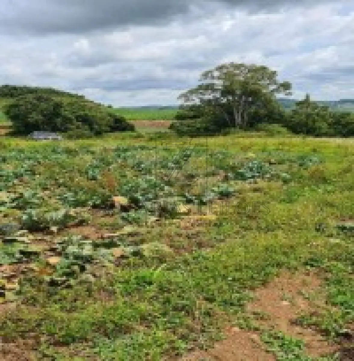 LOTE 001 - IMOVEL - UMA GLEBA DE TERRAS, constituída de parte do lote rural nº 3, da  Linha Anita Garibaldi, neste Município, com a área de 157.300,00m², sem benfeitorias, confrontando  ao NORTE, por 97,00m, com o travessão de frente; ao SUL, por 187,00m, com parte do mesmo lote  03, de Genor Pasolini, ao LESTE, lado formado por três segmentos de reta: o primeiro, partindo da  extremidade leste da confrontação sul, deflete para o norte por 701,6993m, onde confronta com o lote  rural nº 01, da mesma Linha, de Névio Boccalon e outro, o segundo, a partir do primeiro, deflete para o  oeste, por 90,00m, ao fim dos quais deflete para o norte, por 268,889m, confrontando nestes dois  segmentos com parte do mesmo lote nº 03, de Nelvino Bocalon; e, ao OESTE, por 970,5883m,  confronta com parte do mesmo lote no 03, de Affonso Bocalon e de Nelvino Bocalon, conforme Av. 02 299 do R.I. de Nova Bassano RS.
