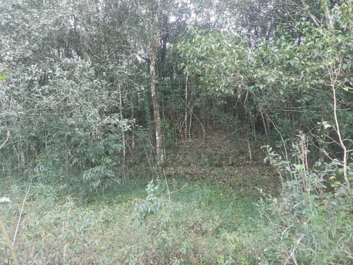 LOTE 002 - Nua-propriedade da fração ideal de 13.620,00m²", localizada dentro do todo maior de UMA GLEBA  DE TERRAS, constituída de parte do lote rural nº 03, da Linha Sétima Secção, Segunda Série Oeste,  neste Município, sem benfeitorias e com a área de 65.150m², confrontando: ao NORTE, com o travessão  de fundo da Sétima Secção; ao SUL, com remanescente do mesmo lote 3, de propriedade de Tarcisio  Pagnoncelli, pela estrada Pinheiro Machado, e de propriedade de Geraldo Pagnoncelli, por linha seca,  ambos sucessores de Rafael Luiz Pagnoncelli; ao LESTE, também com remanescente do mesmo lote 3,  de propriedade de Rafael Luiz Pagnoncelli e outros e de Geraldo Pagnoncelli; e ao OESTE, com terras de  Armando Pagnoncelli, sucessor de João Pagnoncelli. MATRÍCULA Nº 8839, do R. I. da COMARCA DE  NOVA PRATA/RS.