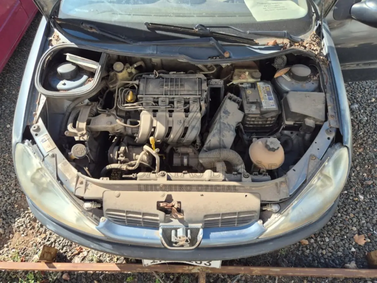 LOTE 006 - PEUGEOT/206 10 SENSAT, Placa: IMR1I33, Ano/modelo: 2005/2005, Cor: CINZA, Chassi: 9362A7LZ96B011799, Motor: 10TR01Q091815, RENAVAM: 864423004.
