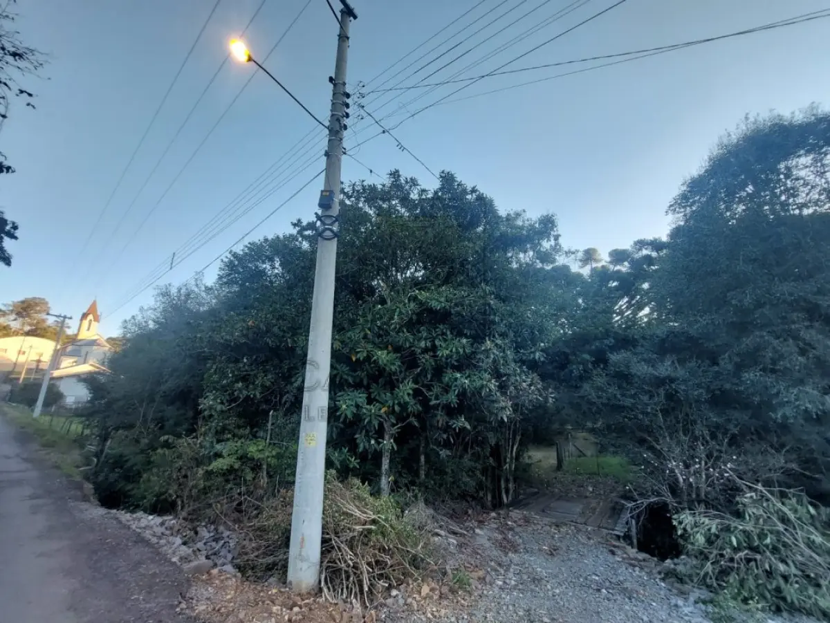 LOTE 002 - Nua-propriedade da fração ideal de 13.620,00m²", localizada dentro do todo maior de UMA GLEBA  DE TERRAS, constituída de parte do lote rural nº 03, da Linha Sétima Secção, Segunda Série Oeste,  neste Município, sem benfeitorias e com a área de 65.150m², confrontando: ao NORTE, com o travessão  de fundo da Sétima Secção; ao SUL, com remanescente do mesmo lote 3, de propriedade de Tarcisio  Pagnoncelli, pela estrada Pinheiro Machado, e de propriedade de Geraldo Pagnoncelli, por linha seca,  ambos sucessores de Rafael Luiz Pagnoncelli; ao LESTE, também com remanescente do mesmo lote 3,  de propriedade de Rafael Luiz Pagnoncelli e outros e de Geraldo Pagnoncelli; e ao OESTE, com terras de  Armando Pagnoncelli, sucessor de João Pagnoncelli. MATRÍCULA Nº 8839, do R. I. da COMARCA DE  NOVA PRATA/RS.