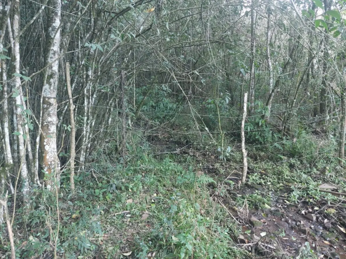 LOTE 002 - Nua-propriedade da fração ideal de 13.620,00m²", localizada dentro do todo maior de UMA GLEBA  DE TERRAS, constituída de parte do lote rural nº 03, da Linha Sétima Secção, Segunda Série Oeste,  neste Município, sem benfeitorias e com a área de 65.150m², confrontando: ao NORTE, com o travessão  de fundo da Sétima Secção; ao SUL, com remanescente do mesmo lote 3, de propriedade de Tarcisio  Pagnoncelli, pela estrada Pinheiro Machado, e de propriedade de Geraldo Pagnoncelli, por linha seca,  ambos sucessores de Rafael Luiz Pagnoncelli; ao LESTE, também com remanescente do mesmo lote 3,  de propriedade de Rafael Luiz Pagnoncelli e outros e de Geraldo Pagnoncelli; e ao OESTE, com terras de  Armando Pagnoncelli, sucessor de João Pagnoncelli. MATRÍCULA Nº 8839, do R. I. da COMARCA DE  NOVA PRATA/RS.