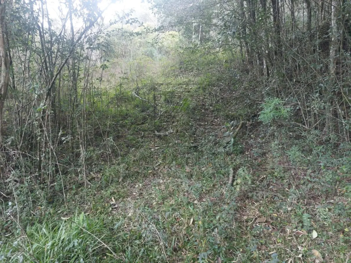 LOTE 002 - Nua-propriedade da fração ideal de 13.620,00m²", localizada dentro do todo maior de UMA GLEBA  DE TERRAS, constituída de parte do lote rural nº 03, da Linha Sétima Secção, Segunda Série Oeste,  neste Município, sem benfeitorias e com a área de 65.150m², confrontando: ao NORTE, com o travessão  de fundo da Sétima Secção; ao SUL, com remanescente do mesmo lote 3, de propriedade de Tarcisio  Pagnoncelli, pela estrada Pinheiro Machado, e de propriedade de Geraldo Pagnoncelli, por linha seca,  ambos sucessores de Rafael Luiz Pagnoncelli; ao LESTE, também com remanescente do mesmo lote 3,  de propriedade de Rafael Luiz Pagnoncelli e outros e de Geraldo Pagnoncelli; e ao OESTE, com terras de  Armando Pagnoncelli, sucessor de João Pagnoncelli. MATRÍCULA Nº 8839, do R. I. da COMARCA DE  NOVA PRATA/RS.