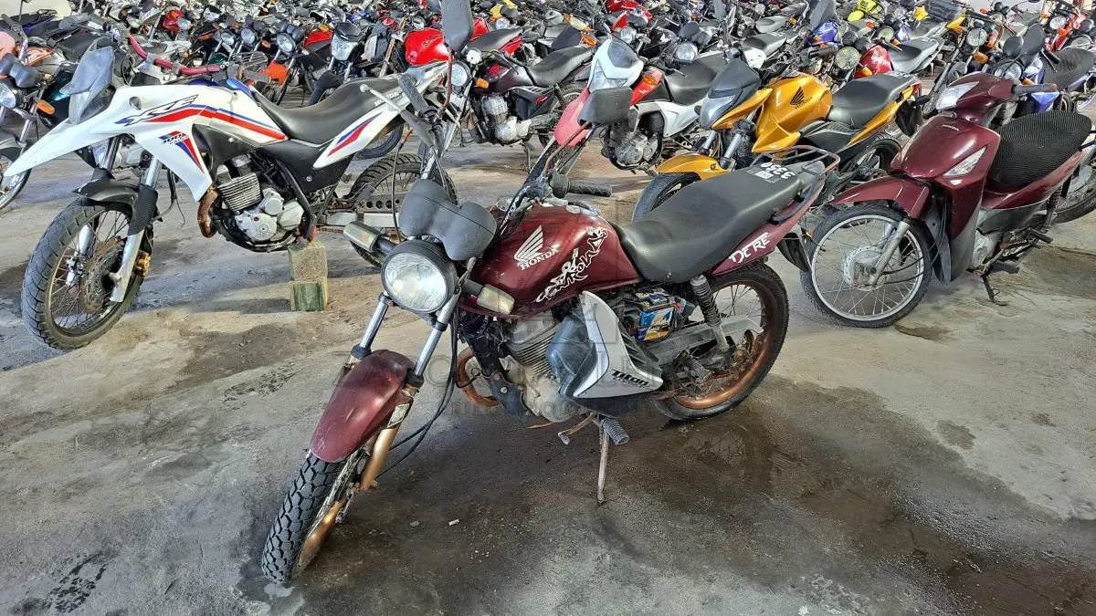 LOTE 0183