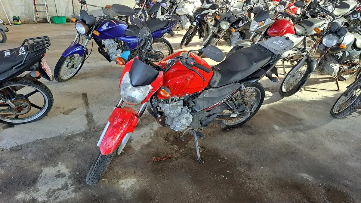 LOTE 0174