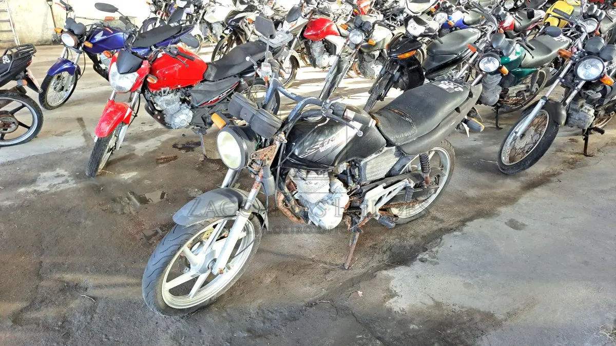 LOTE 0177
