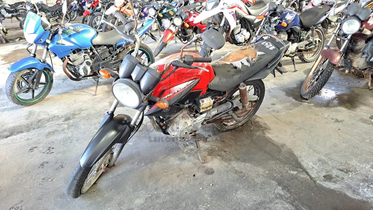 LOTE 0169