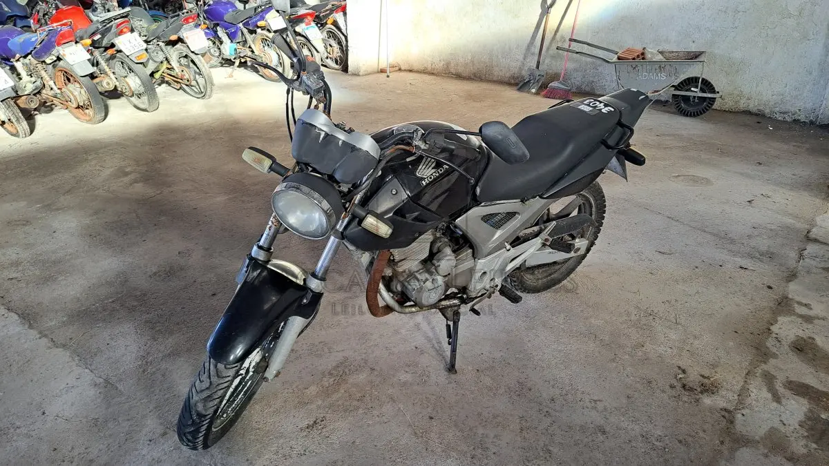 LOTE 0203