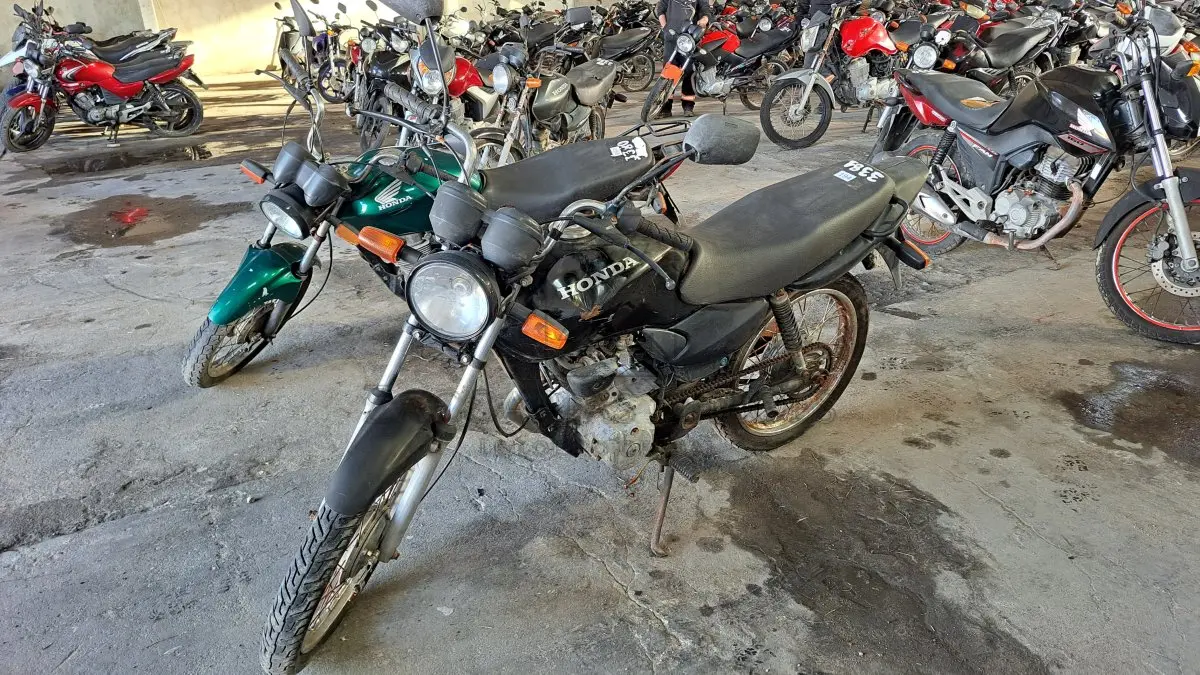 LOTE 0194
