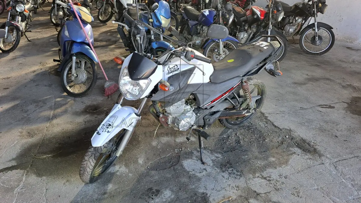 LOTE 0153