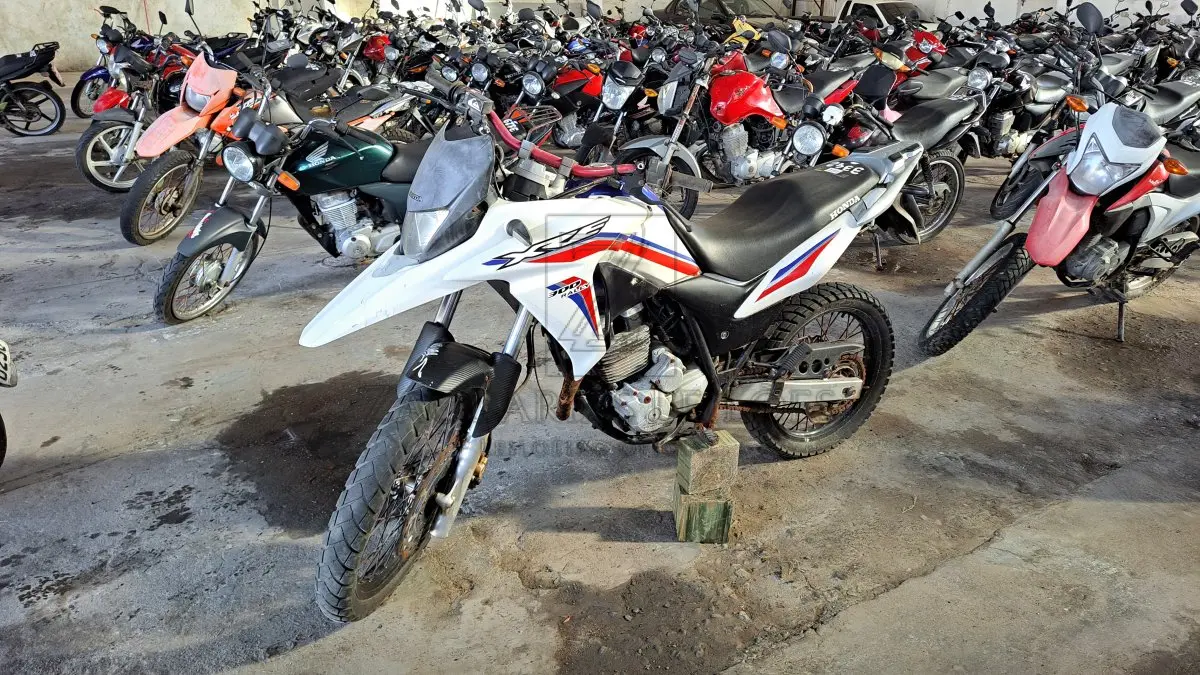 LOTE 0181