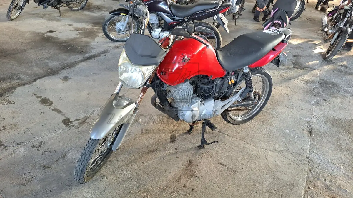 LOTE 0198