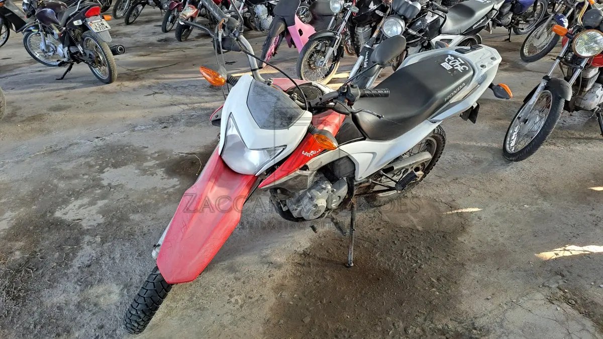 LOTE 0202