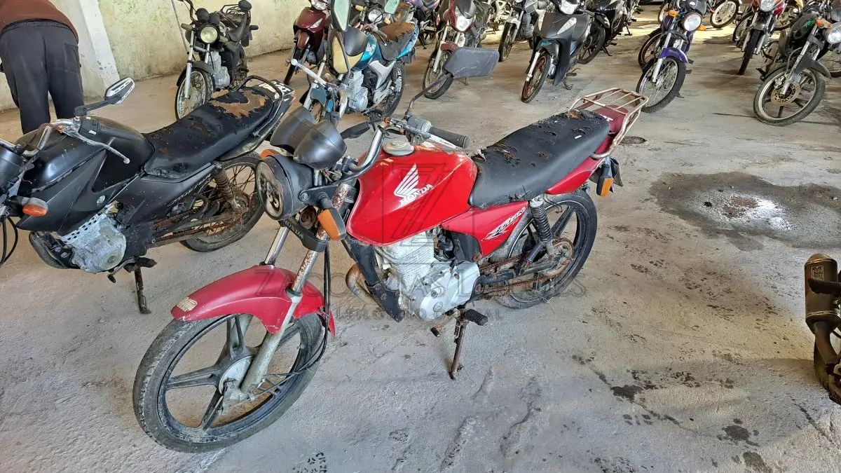 LOTE 0151
