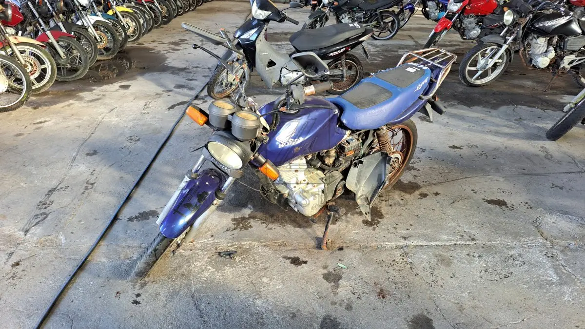 LOTE 0175