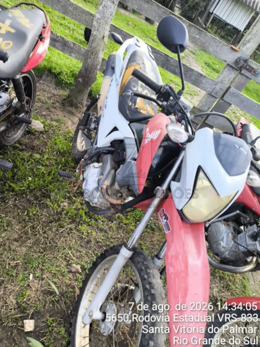 LOTE 0099