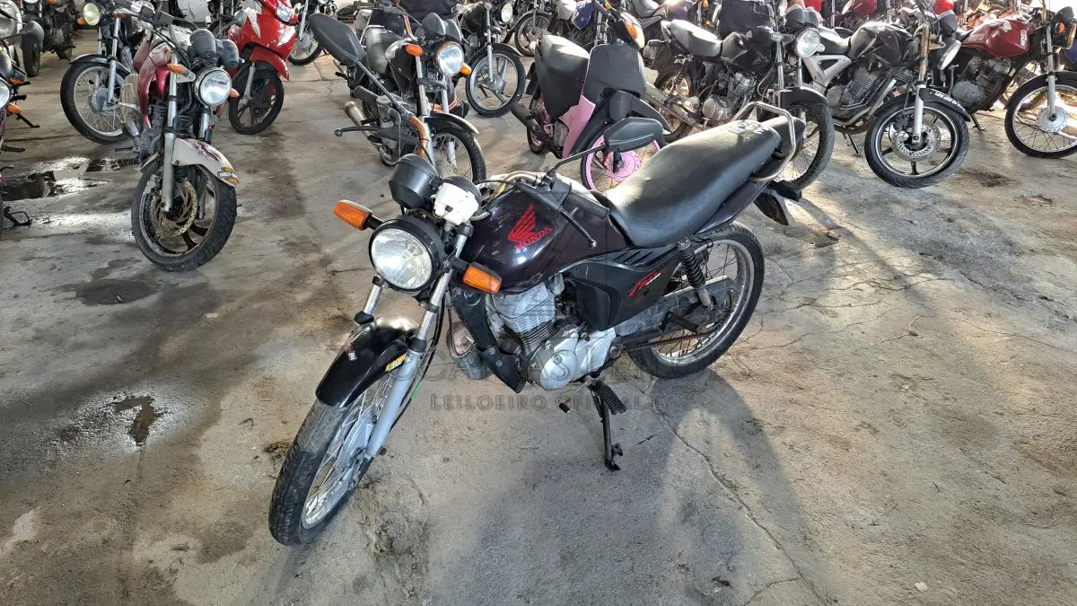 LOTE 0199