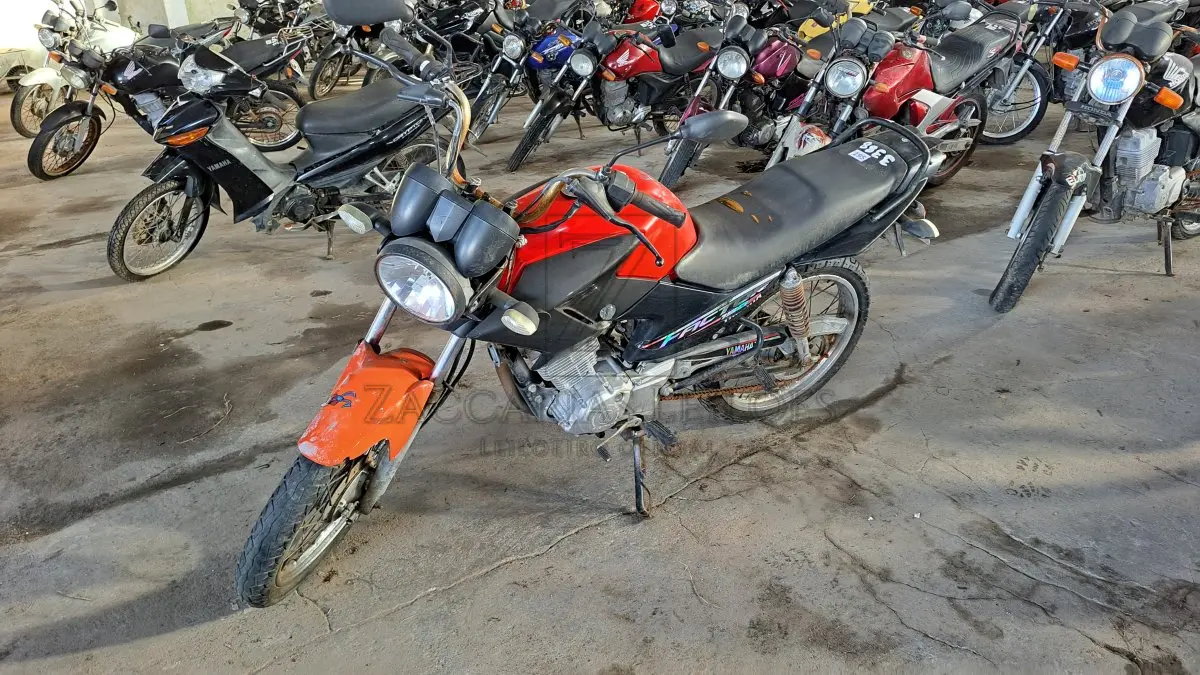 LOTE 0195