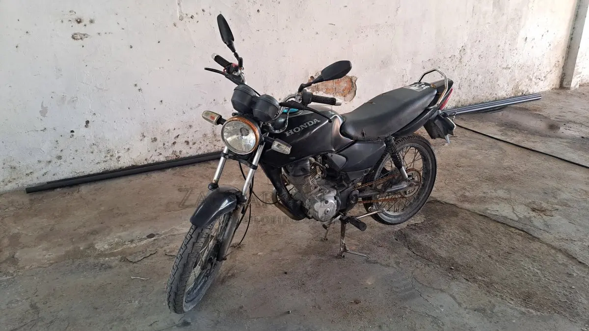 LOTE 0266