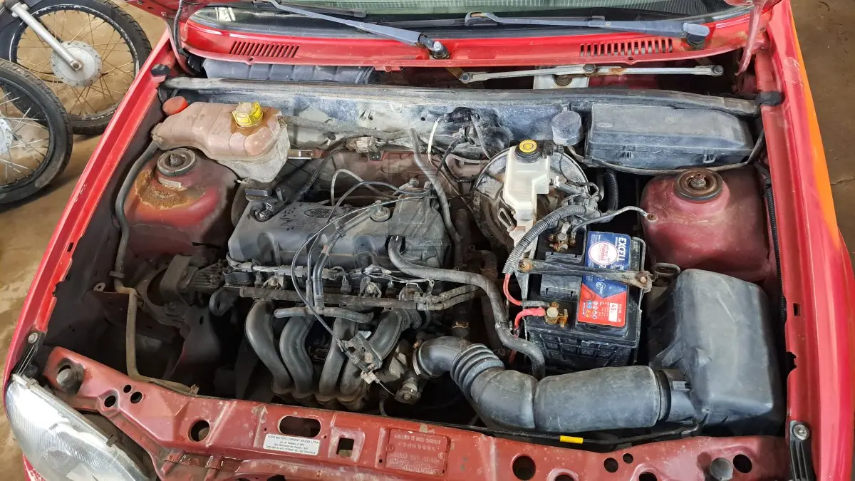 LOTE 0304