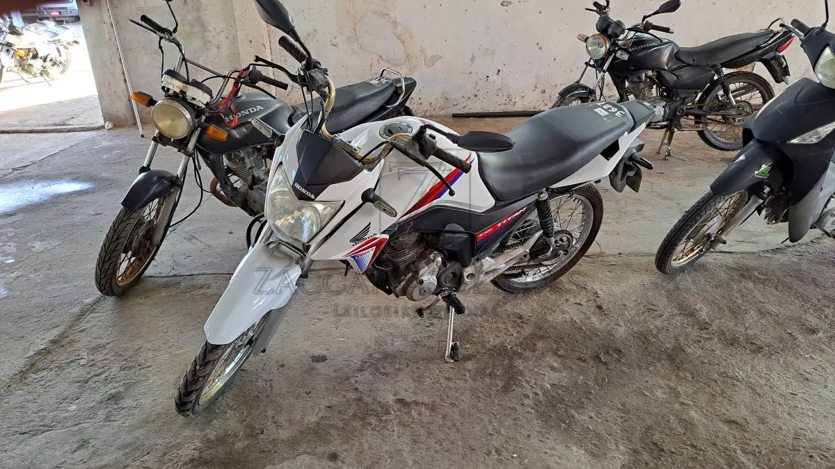 LOTE 0263