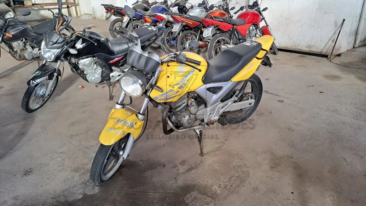 LOTE 0251