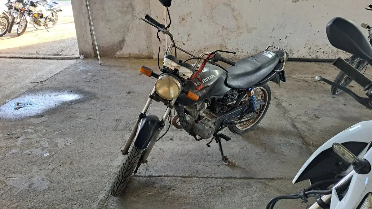 LOTE 0264
