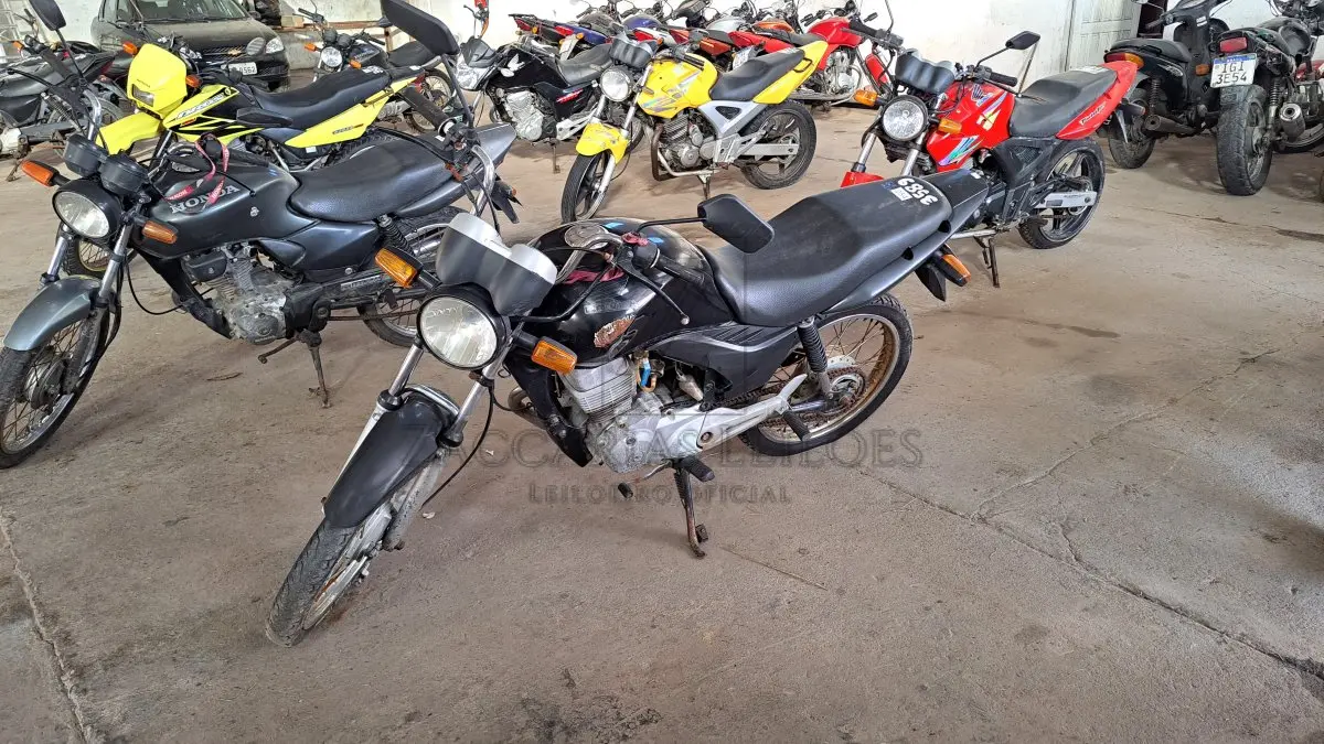 LOTE 0254