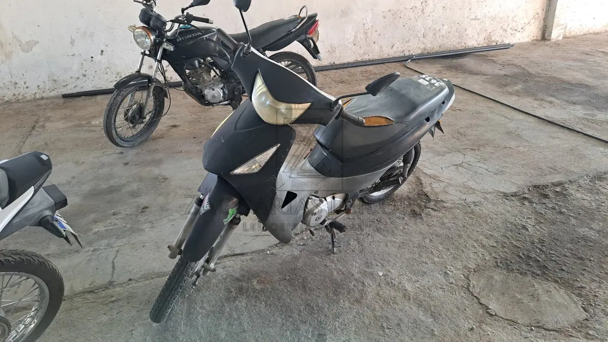 LOTE 0265