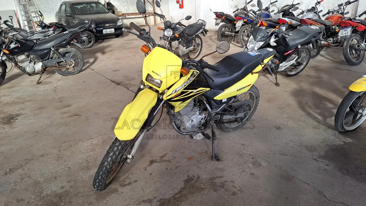 LOTE 0250