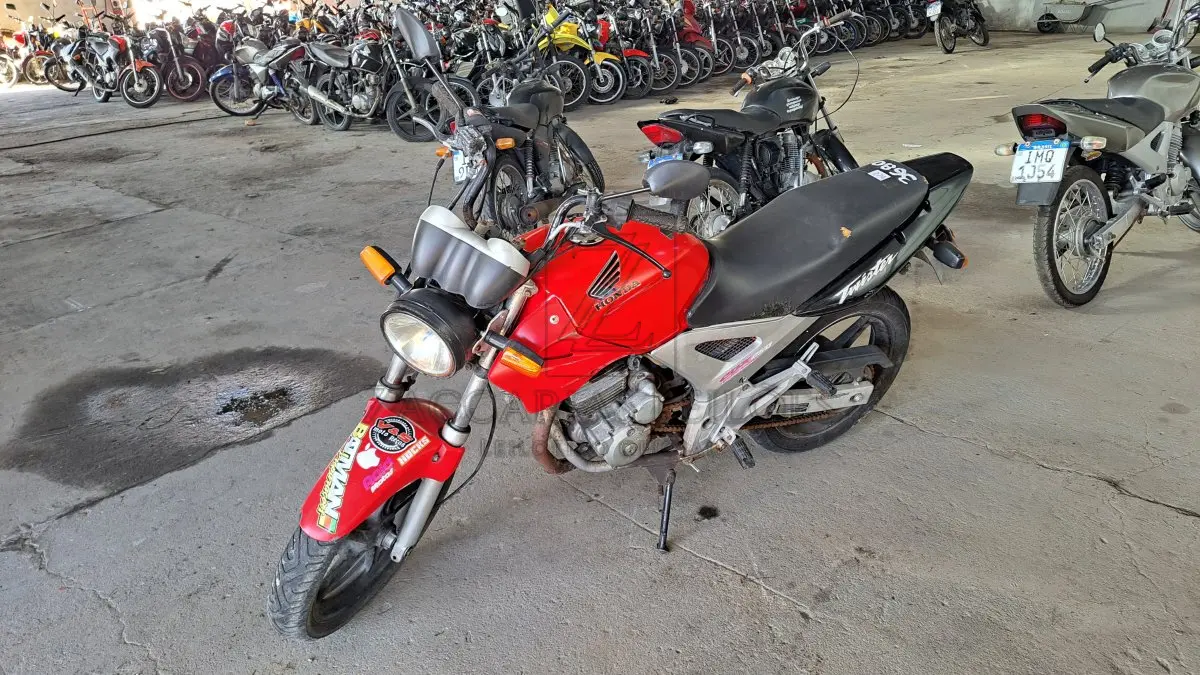 LOTE 0274