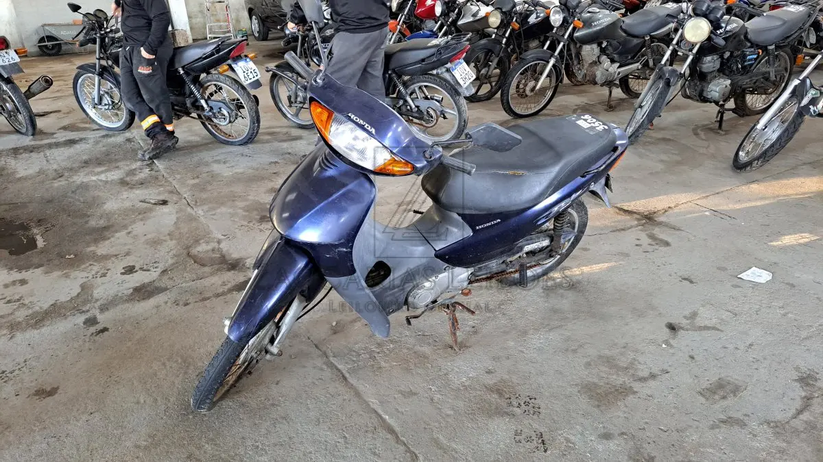 LOTE 0233