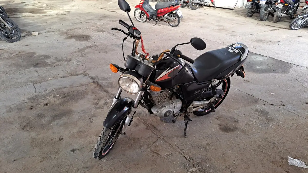 LOTE 0256