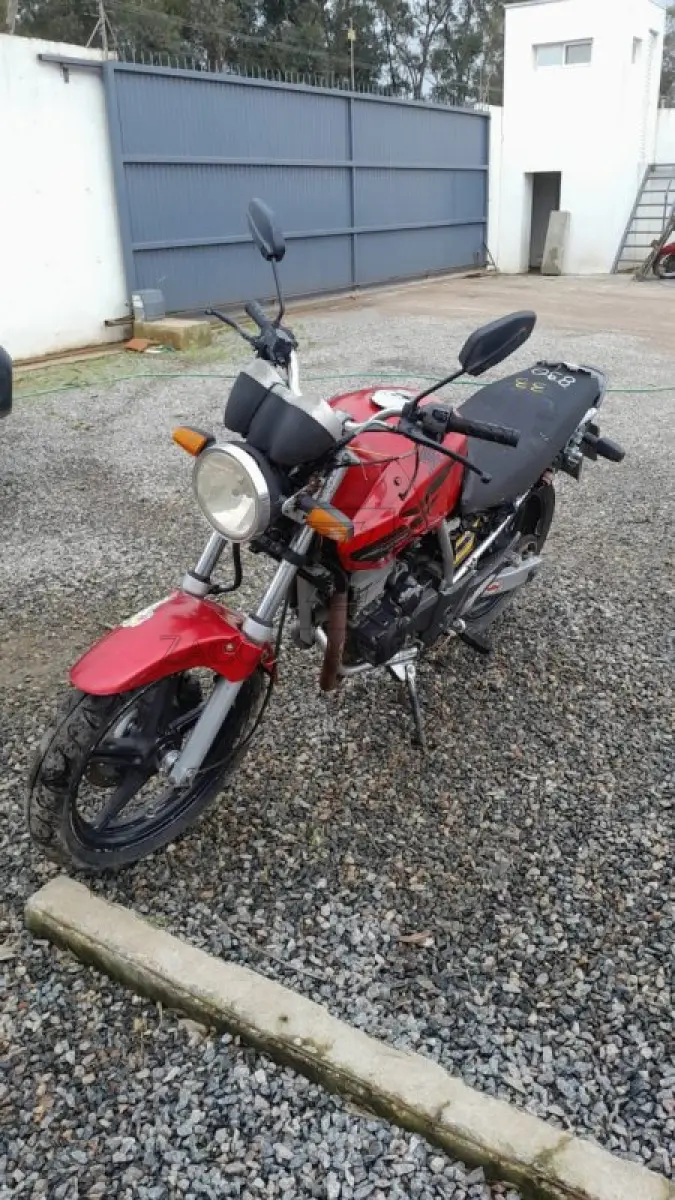 LOTE 0033